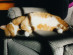 View full size picture