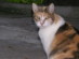 View full size picture