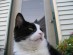 View full size picture