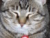 View full size picture