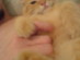 View full size picture