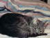 View full size picture
