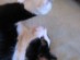 View full size picture