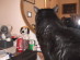 View full size picture