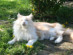 View full size picture