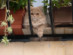 View full size picture