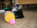 View full size picture