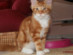 View full size picture