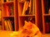 View full size picture