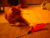 View full size picture