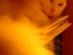 View full size picture