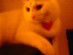 View full size picture