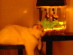 View full size picture
