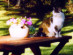 View full size picture