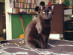 View full size picture
