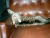 View full size picture