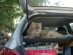 View full size picture