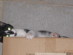 View full size picture
