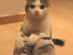 View full size picture