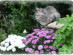 View full size picture