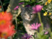 View full size picture