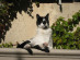 View full size picture