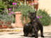 View full size picture