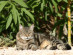 View full size picture