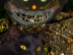 View full size picture