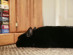 View full size picture