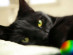 View full size picture