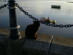 View full size picture