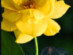View full size picture