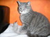 View full size picture