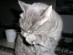 View full size picture