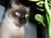 View full size picture