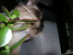 View full size picture