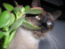 View full size picture