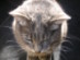 View full size picture