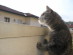 View full size picture