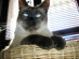 View full size picture
