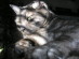View full size picture