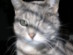 View full size picture