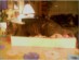 View full size picture
