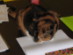 View full size picture