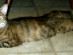 View full size picture