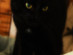View full size picture