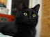 View full size picture