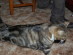 View full size picture
