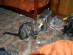View full size picture